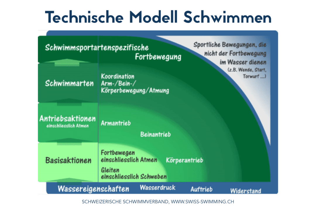 Neues Ausbildungskonzept Für Erwachsene - Aqualetics